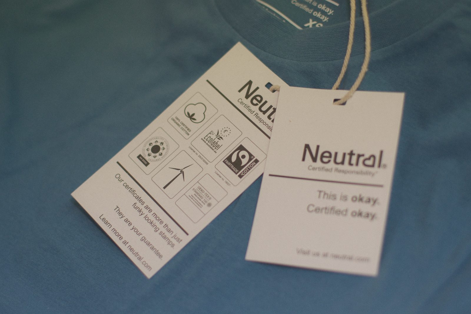 Detail des vollfarbigen DTF-Drucks auf dem hellblauen Fairtrade-Shirt — Illustration mit Eisvogel, Biber, Fisch und Käfern rund um den Schriftzug „Geo-Tag der Artenvielfalt